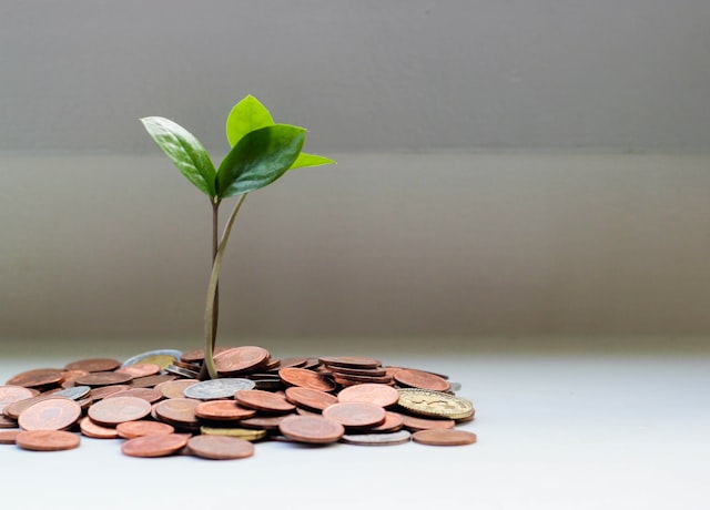 Deductibles: $500 vs $1,000